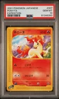 Ponyta