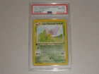 Light Venomoth
