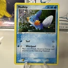 Mudkip