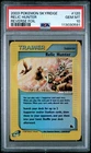 Relic Hunter