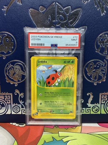 Ledyba