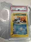 Piloswine