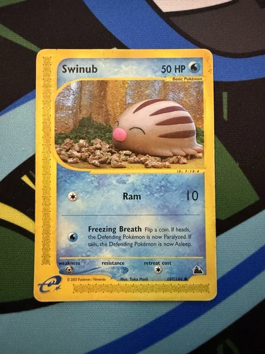 Swinub