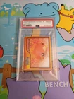 Torchic