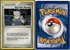 Prof. Oak's Research