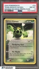 Cacnea