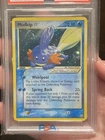 Mudkip