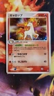 Rapidash