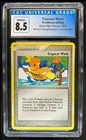 Tropical Wind