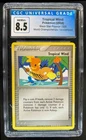 Tropical Wind