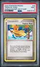 Tropical Wind