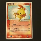 Torchic