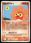 Sunny Castform