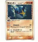 Sharpedo
