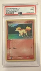 Ponyta