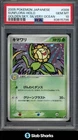 Sunflora