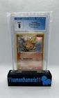 Torchic