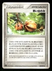 Memory Berry