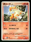 Ponyta