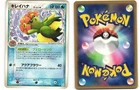 Bellossom