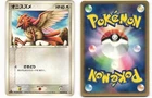 Spearow