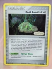 Root Fossil