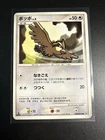 Pidgey