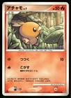 Torchic