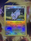Pachirisu