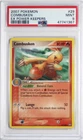 Combusken