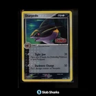 Sharpedo