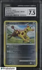 Girafarig