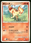 Ponyta