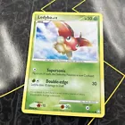 Ledyba