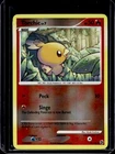 Torchic