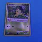 Turtwig