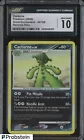 Cacturne
