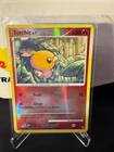 Torchic