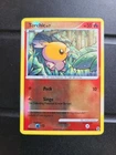 Torchic