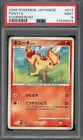 Ponyta