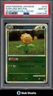 Sunflora