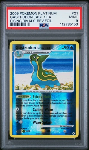 Gastrodon East Sea