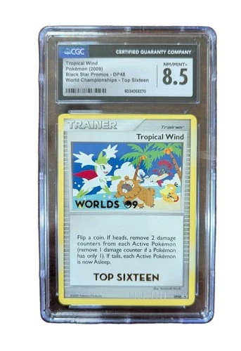 Tropical Wind
