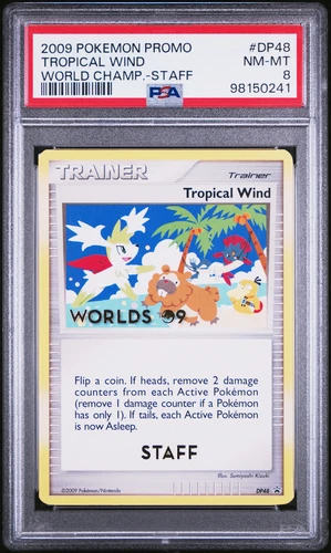 Tropical Wind