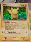 Ditto