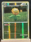Sunflora