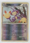 Ambipom