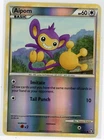 Aipom