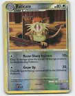 Raticate
