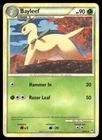 Bayleef